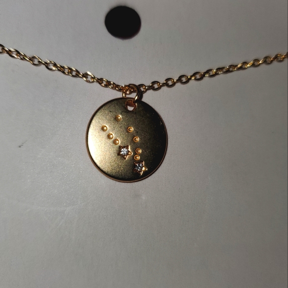 Lucky Feather Zodiac Necklace - 14K Gold-Dipped Constellation Pendant Necklace - Picture 5 of 5